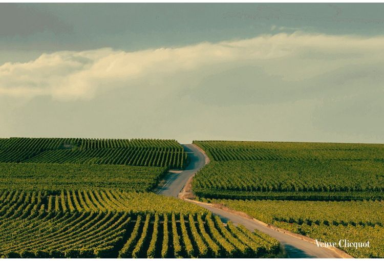 ヴーヴ・クリコ イエローラベル ブリュット750ml ギフトボックス【正規品】(代引不可)