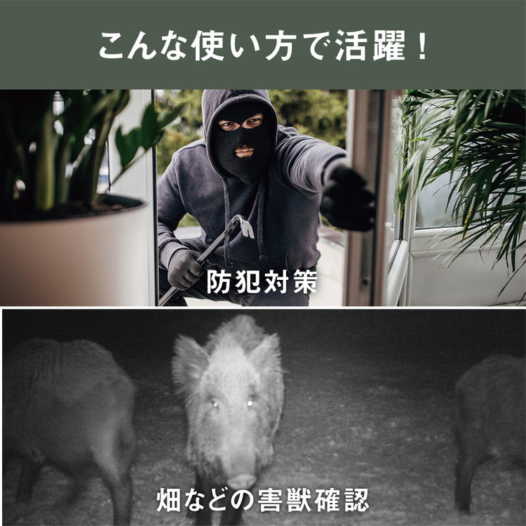 【届いてすぐ使える!SDカード+単一電池セット】ムサシ 防犯カメラ 屋外 どこでもセンサーカメラ 配線不要 乾電池式 家庭用 工事不要 C-BT7000-SET 強盗対策 屋外用 musashi