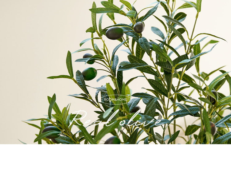 roommhome オリーブの木 180cm フェイクグリーン 人工観葉植物 造花 観葉樹 室内 観葉植物 オリーブ グリーン ルームアンドホーム(代引不可)