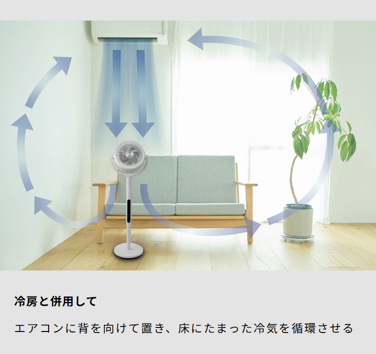 【空気清浄×送風】シロカ フィルター付きサーキュレーター扇風機 SF-CF151 21畳対応 上下左右首振り DCモーター 風量8段階 モード切替 タイマー付き リモコン付属 静音 ホワイト siroca