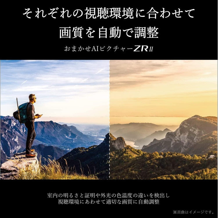 東芝 TOSHIBA 50V型 4K液晶テレビ 液晶テレビ REGZA M550Lシリーズ 裏番組録画 50M550L