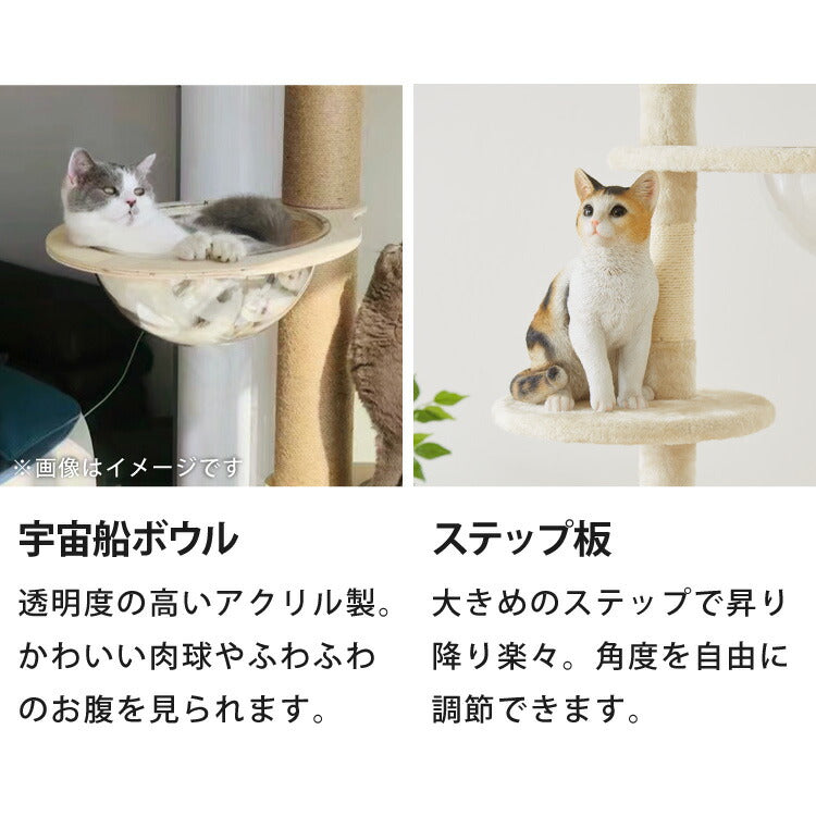 キャットタワー つっぱり 突っ張り 高さ228~253cm ハンモック付 宇宙船付き 隠れ家 ハウス 爪とぎ 大型 ハイタイプ ベージュ ライトグレー