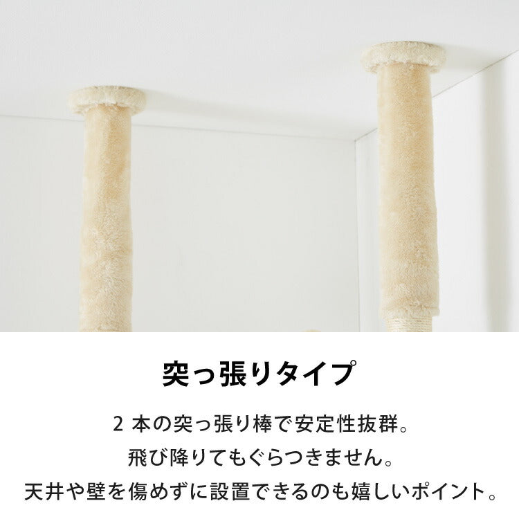 キャットタワー つっぱり 突っ張り 高さ228~253cm ハンモック付 宇宙船付き 隠れ家 ハウス 爪とぎ 大型 ハイタイプ ベージュ ライトグレー