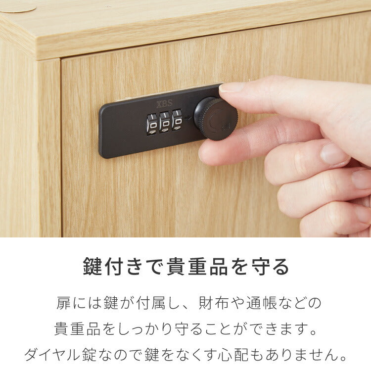 キューブボックス A4 2個セット 木目 鍵付き 扉付き 幅35cm レイアウト自由自在 ダイヤル ダイヤル錠付きボックス 収納 収納ボックス A4サイズ 本棚 ラック 収納ラック 鍵付きラック レイアウト自由