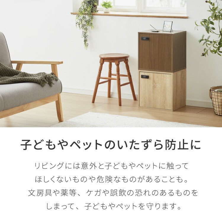 キューブボックス A4 2個セット 木目 鍵付き 扉付き 幅35cm レイアウト自由自在 ダイヤル ダイヤル錠付きボックス 収納 収納ボックス A4サイズ 本棚 ラック 収納ラック 鍵付きラック レイアウト自由