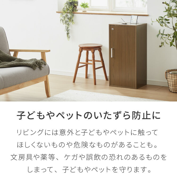 カラーボックス 3段 A4 2個セット 木目 鍵付き 扉付き 幅35cm レイアウト自由自在 収納 収納ボックス 整理整頓 カラーボックス3段 A4サイズ 本棚 ラック 収納ラック 鍵付きラック レイアウト自由