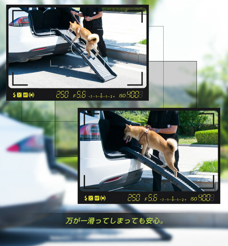 スロープ ペットスロープ ペットステップ 耐荷重75kg 持ち運び 二つ折り 折りたたみ ペット用スロープ コンパクト 段差解消 踏み台 犬 大型犬 小型犬 老犬 ステップ ドッグステップ ドッグスロープ