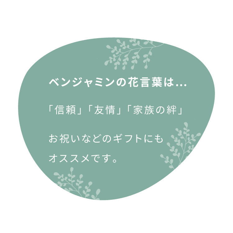フェイクグリーン おしゃれ ベンジャミン 天然木 大型 中型 フィカスベンジャミン 据え置き 床置き 150cm ナチュラル シンプル 北欧 観葉植物 人工観葉植物 インテリアグリーン アートグリーン 玄関 鉢付き 風水 贈り物 目隠し 室内 大きい