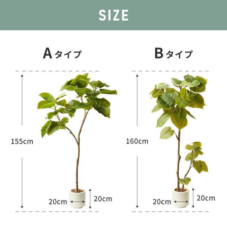 人工観葉植物 ウンベラータ フェイクグリーン 大型 155cm 160cm フィカス 植物 おしゃれ ナチュラル シンプル フェイク 造花 リアル 観葉植物 リビング インテリア 玄関 室内 ギフト お祝いプレゼント