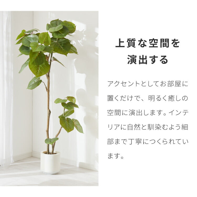人工観葉植物 ウンベラータ フェイクグリーン 大型 155cm 160cm フィカス 植物 おしゃれ ナチュラル シンプル フェイク 造花 リアル 観葉植物 リビング インテリア 玄関 室内 ギフト お祝いプレゼント