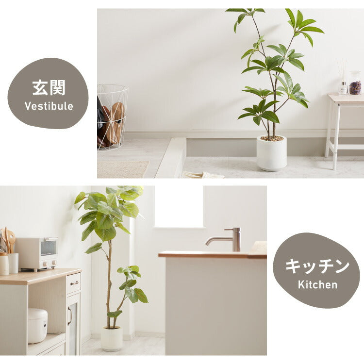 人工観葉植物 ウンベラータ フェイクグリーン 大型 155cm 160cm フィカス 植物 おしゃれ ナチュラル シンプル フェイク 造花 リアル 観葉植物 リビング インテリア 玄関 室内 ギフト お祝いプレゼント