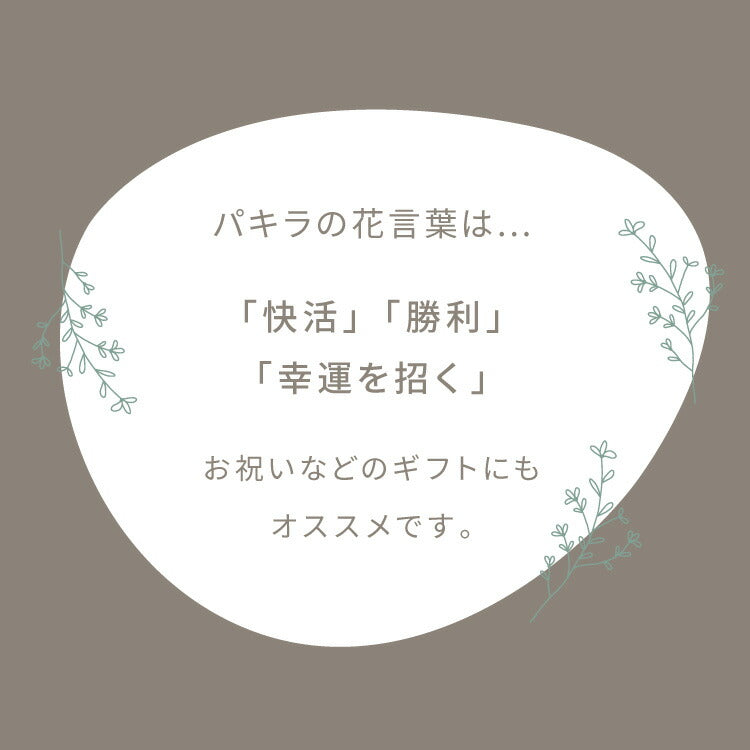 人工観葉植物 パキラ 一本 フェイクグリーン 大型 パキラ 110cm 人工 植物 おしゃれ ナチュラル シンプル フェイク 造花 リアル 観葉植物 リビング インテリア 葉 引越し 玄関 室内 お手入れ不要