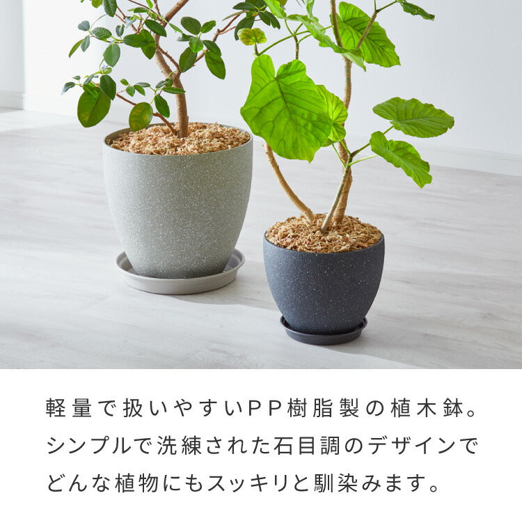 植木鉢 鉢 直径32.5cm 11号 おしゃれ モダン ガーデニング 植木鉢 鉢カバー プランターカバー PP樹脂 観葉植物 屋外 室内 軽い インテリア 鉢皿 ソーサー付き グレー