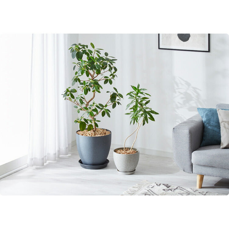 植木鉢 鉢 直径23cm 8号 おしゃれ モダン ガーデニング 植木鉢 鉢カバー プランターカバー PP樹脂 観葉植物 屋外 室内 軽い インテリア 鉢皿 ソーサー付き グレー