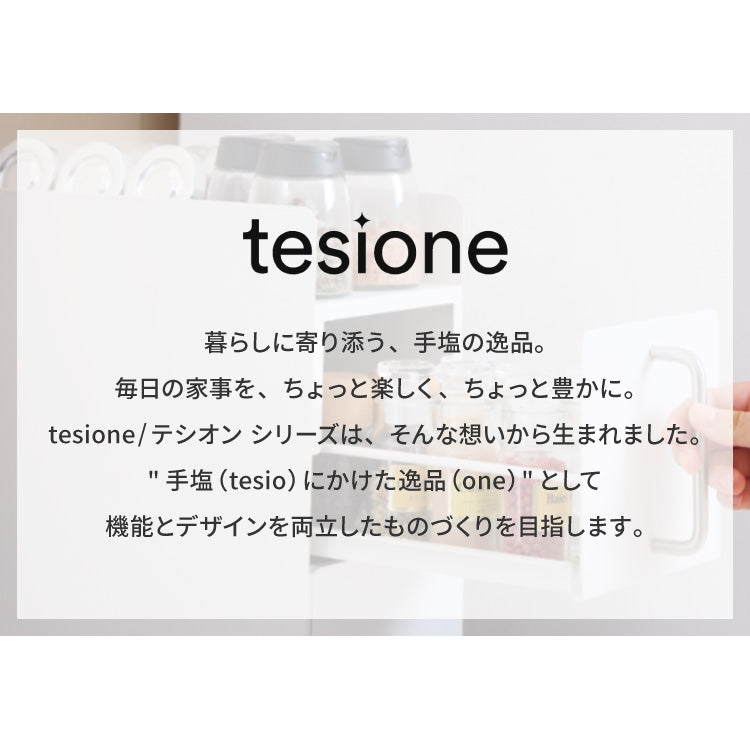 tesione テシオン 隱せる 調味料ラック 1段 スリム おしゃれ 隠す マグネット 対応 スパイスラック コンパクト コンロサイド コンロ横 隙間収納 すき間収納 ホワイト 白 韓国インテリア TS-004