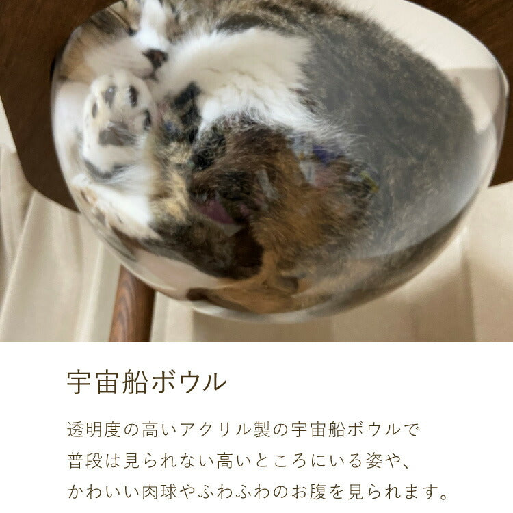 日本製 キャットタワー 突っ張り型 木製 高さ240~250cm 宇宙船付 滑り止め 省スペース スリム シンプル 高耐久性 高強度 爪とぎ 爪砥ぎ 木目 ウッド キャットツリー 猫タワー 猫用 猫 ねこ 国産