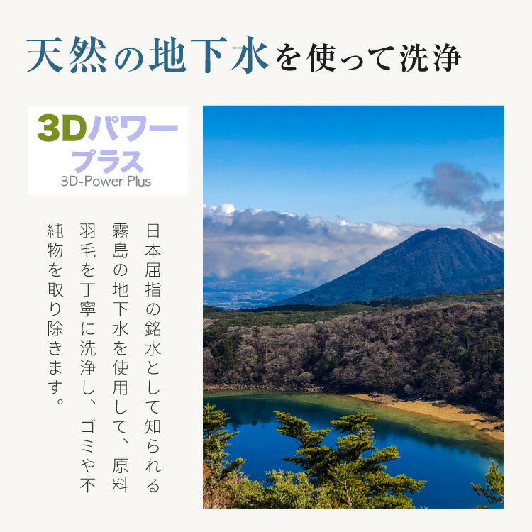 日本製 羽毛布団 セミダブルロング 170×210cm ホワイトダックダウン90% CILシルバーラベル 充填量1.2kg 立体キルト 抗菌 アレルGプラス&2倍洗浄 350dp以上 かさ高145mm以上 掛け布団 国産