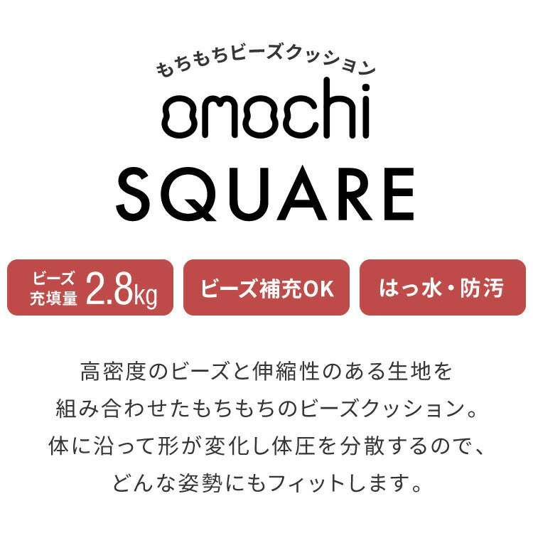 ビーズクッション キャンバス生地 58×58×35cm Mサイズ omochi SQUARE 椅子 イス 背もたれ 1人 極小ビーズ カバーリング へたりにくい 低VOC 洗える ソファ フロアソファ