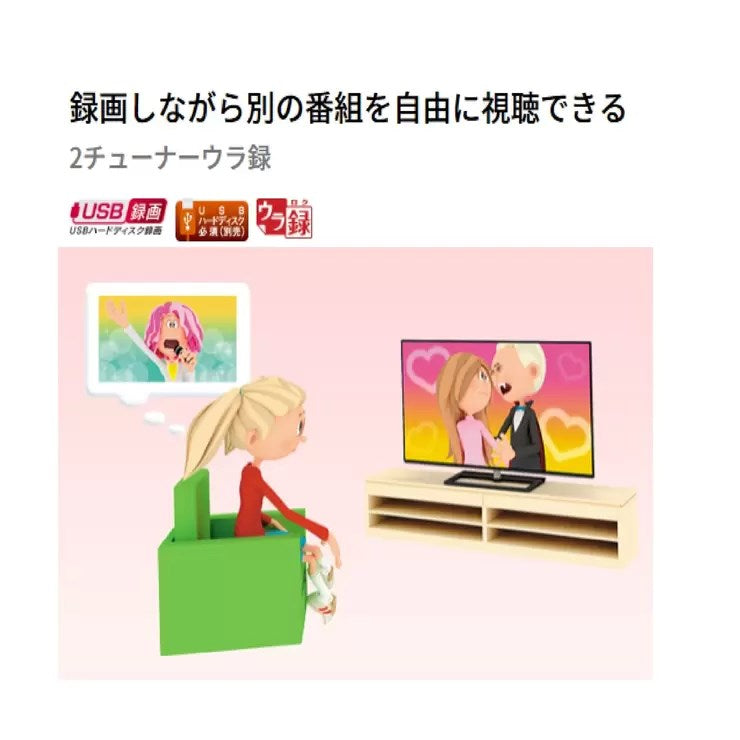 TOSHIBA 液晶テレビ REGZA 40V型 S22 40S22 東芝 レグザ 地上 BS 110度CSデジタルハイビジョン液晶テレビ テレビ