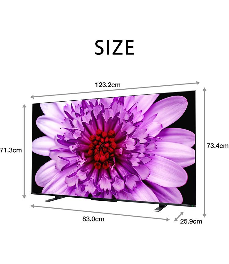 4K液晶テレビ REGZA レグザ 55V型 TOSHIBA 東芝 TV 4Kダブルチューナー内蔵 Android 55M550K