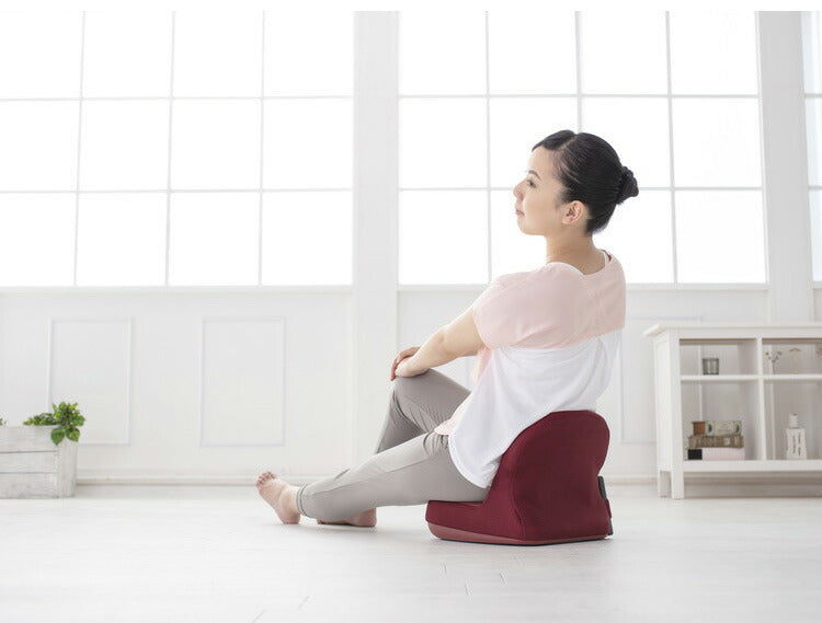 スライヴ 腹筋トレーナー 腹筋 筋トレ おなか周り エクササイズ FD-102 大東電機工業 THRIVE ACアダプター